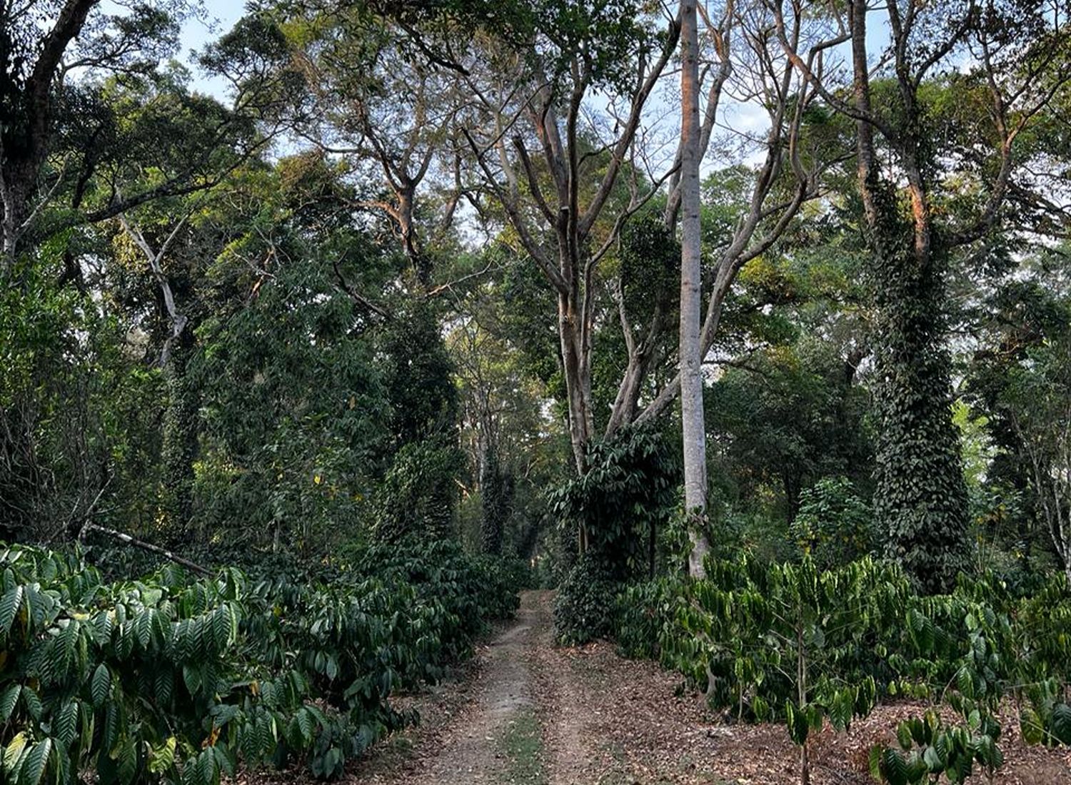 1583333e-f381-4e12-8a76-4583582a1649 (1)