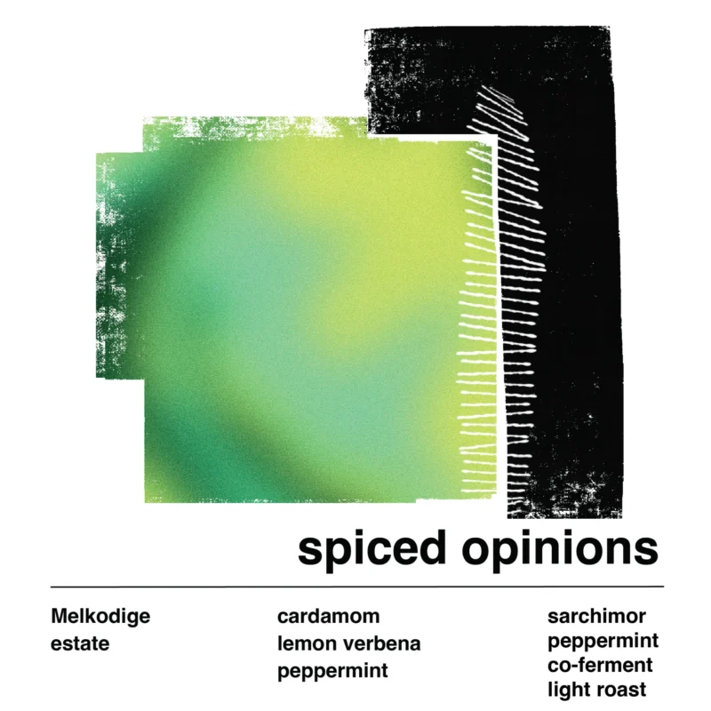 Spiced Opinions ( SCA 88.5 )
