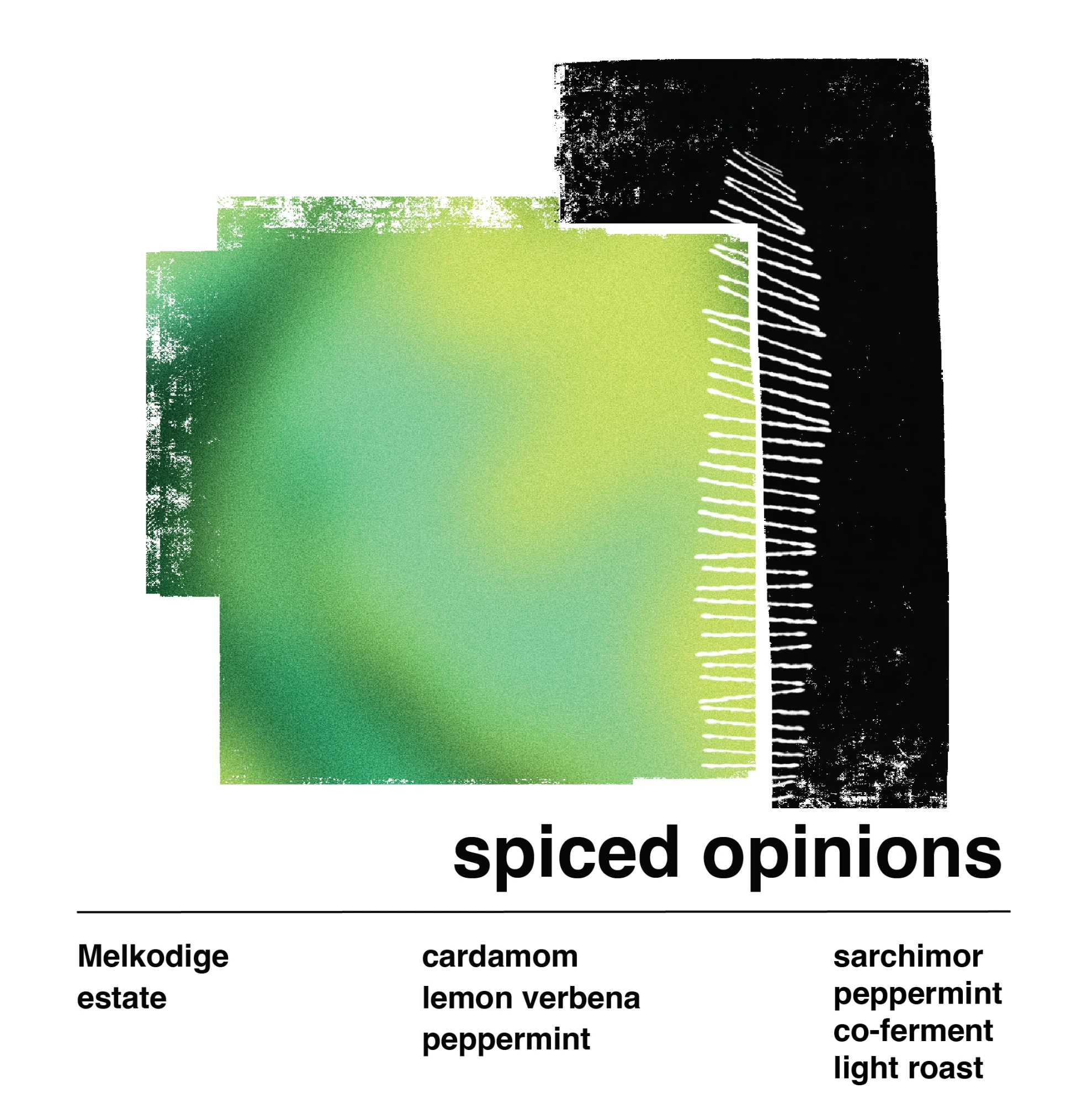 Spiced Opinions ( SCA 88.5 )